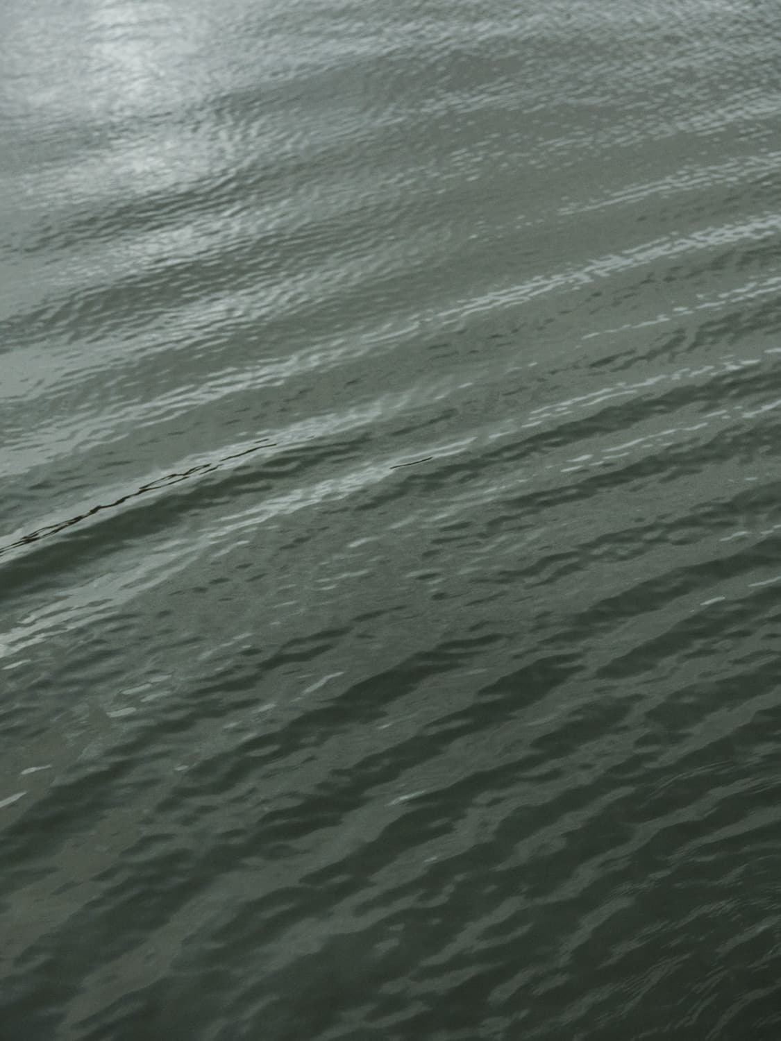 Reflets de la lumière sur l'eau du marais