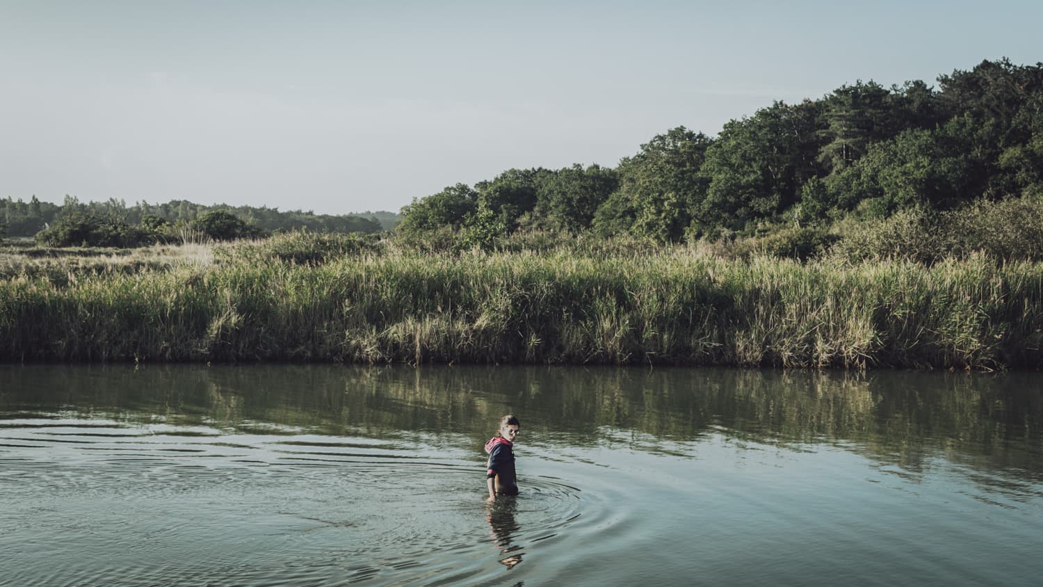 Laura dans les eaux calmes du marais, entourée de roseaux